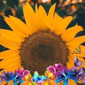 Meet your Posher, Andriana